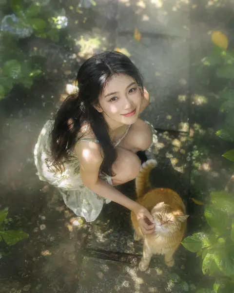 Komorebi Courtyard Overhead Cat Portrait sample image